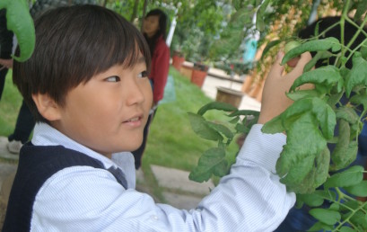 Grades 5 and 6 Visit ‘Solar Farm’