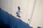 Qingdao Amerasia International School Shadow Play